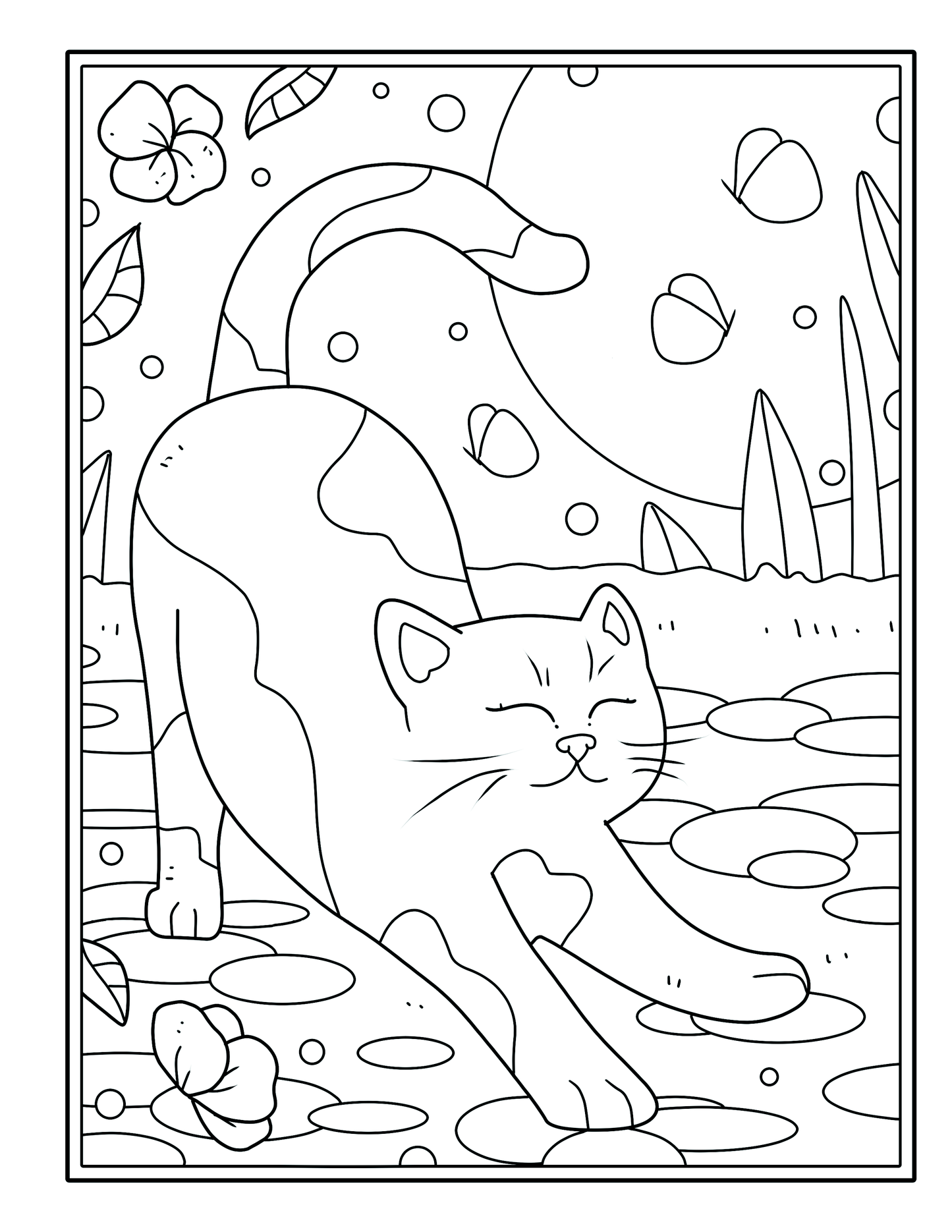 Cozy Cats